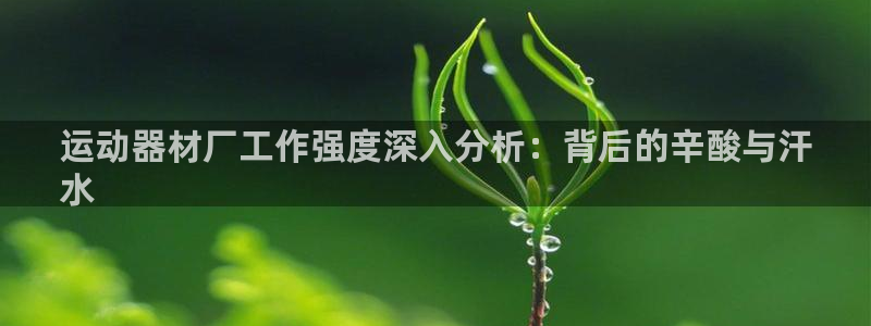 意昂3新能源：運(yùn)動(dòng)器材廠工作強(qiáng)度深入分析：背后的辛酸