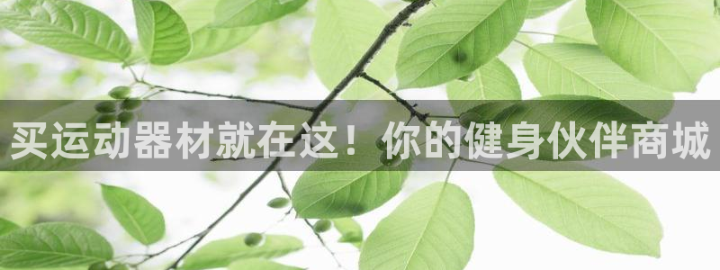 意昂3娛樂是那個系列的臺子：買運動器材就在這！你的健