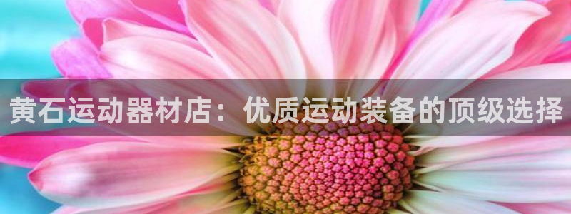 意昂3新能源