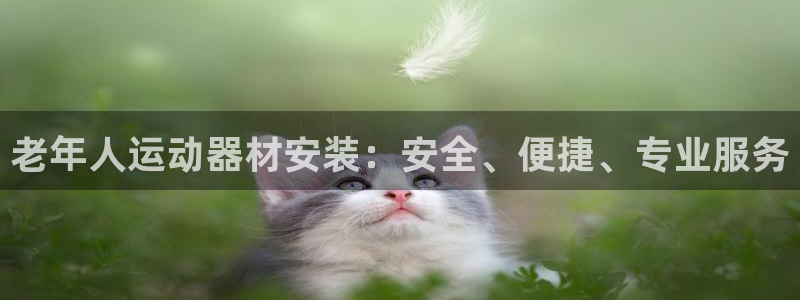 意昂體育3平臺是正規(guī)平臺嗎