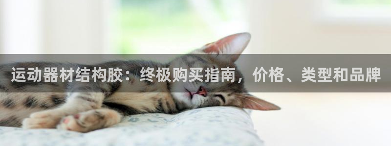 意昂3娛樂首頁(yè)官網(wǎng)下載